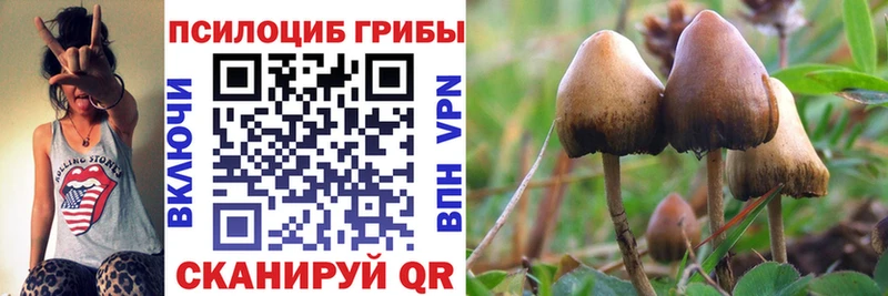 Галлюциногенные грибы Magic Shrooms  Сретенск 